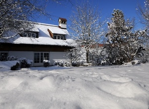 neve, alberi, casa, inverno, bianco, nevicata