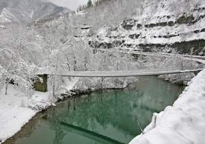 neve, inverno, fiume, ponte, alberi, bianco