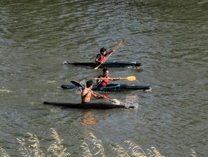 tre, acqua, fiume, canoe, canoa, sport, remi, uomini, canoisti