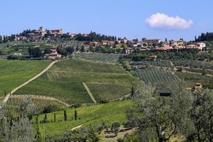 alberi, verde, nuvola, cielo, paese, panorama, borgo, strada, case, colline, collina, campi, paesaggio, coltivazioni, ulivi, piante, agricoltura, azzurro, campagna