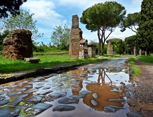 strada, alberi, ruderi, acqua, riflessi, pozzanghera, pozzanghere, riflesso, appia, rovine