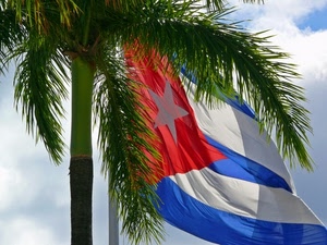 bandiera, rosso, stella, blu, palma, bianco, verde, cielo, strisce, albero, cuba, nuvole, tronco, vento, foglie, rami