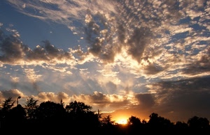 nuvole, cielo, tramonto, alberi, controluce, sole, giallo, nero, raggi