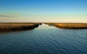 cielo, acqua, fiume, laguna, mare, canale, erba, azzurro, canneto, paesaggio, prospettiva, canne, riflesso