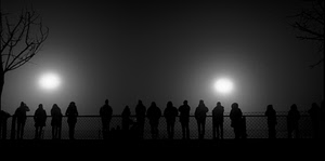 persone, luci, albero, bianconero, nero, controluce, silhouette, rami, affaccio, sagome, parapetto, nebbia, tanti, notte, bianco, rete, fila, fari
