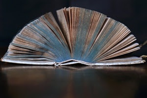 pagine, libro, ventaglio, riflesso, tavolo, carta, fogli, tomo, copertina, arco, aperto, marrone