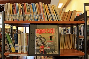 libri, biblioteca, scaffali, libreria, scaffale, etichette, ripiani, legno, volumi, titolo, tanti, scritte, copertina