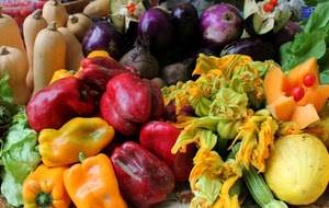 peperoni, zucchine, melanzane, verdura, rosso, fiori, giallo, zucche, verde, ortaggi, melone, insalata, frutta, meloni, rossi, colori, arancione, gialli, viola
