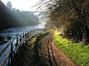 fiume, verde, alberi, acqua, ombra, staccionata, ponte, ringhiera, sentiero, erba, parapetto, foschia, piante, strada, nebbia