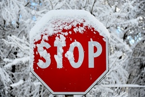 neve, rosso, segnale, inverno, stop, bianco, rami, stradale, alberi