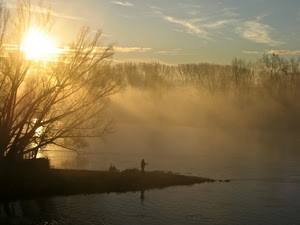 nebbia, cielo, sole, alberi, nuvole, acqua, pescatore, tramonto, fiume, controluce, foschia, rami, riflesso, riflessi, persona