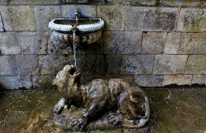 fontana, acqua, animale, muro, rubinetto, zampillo, leone, scultura, vasca, pietra, bocca, bere, marmo, statua