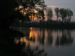 alberi, tramonto, acqua, lago, riflesso, riflessi, fiume, controluce