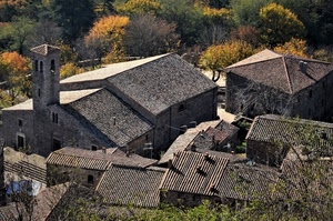 tetti, campanile, alberi, case, chiesa, comignoli, tegole, autunno, borgo, verde, panorama, paesaggio, finestre, coppi, porte, torre