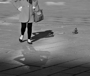 borsa, ombra, piccione, donna, scarpe, gambe, bianconero, ombre, uccello, passante, strada, cappotto, nero, riflesso