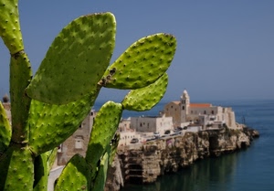 mare, pianta, chiesa, cactus, borgo, verde, panorama, grassa, fico, campanile