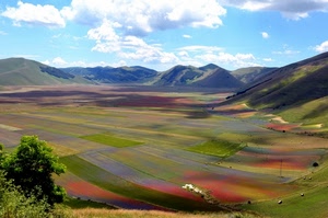 nuvole, cielo, panorama, campi, montagne, colori, colline, alberi, verde, fiori, albero, fioritura, pianura, piana, natura, coltivazione, monti, coltivazioni, montagna