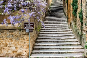fiori, gradini, scala, cartello, muro, glicine, scalini, scalinata, scale, viola, pianta, vicolo, salita, mattoni, freccia, segnale, piante