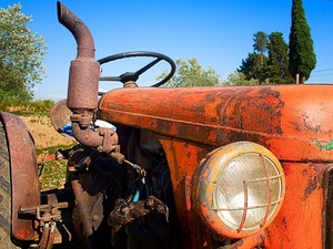 trattore, alberi, ruggine, volante, faro, cielo, azzurro, arancione, fanale, verde, marmitta, tubo, parafango, scarico, scappamento