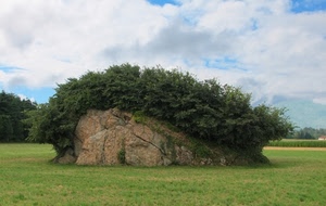 nuvole, cielo, verde, prato, masso, erba, alberi, roccia, pietra, azzurro, cespugli, bianco, piante, sasso