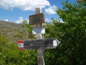 verde, nuvole, legno, cielo, montagna, alberi, sentieri, numeri, foglie, palo, rami, indicazioni, freccia, segnaletica, azzurro, numero, rosso, monte, albero, segnali, cartelli