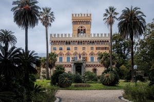 palme, finestre, merli, giardino, villa, torre, alberi, castello, cielo, verde, palazzo, casa, erba, porte, lampione, portone, aiuole