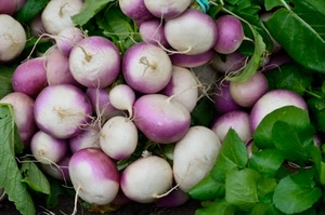 viola, verde, foglie, bianco, ravanelli, verdura, radici, ortaggi, cibo, rape