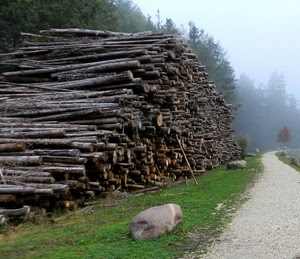 strada, catasta, nebbia, erba, verde, massi, legna, alberi, tronchi, prato, foschia, sentiero, legname, curva, masso, bosco, legno, sassi