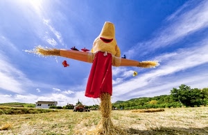 spaventapasseri, paglia, cielo, casa, rosso, nuvole, alberi, verde, campo, pupazzo, azzurro, campagna, trattore, erba, campi, uccelli