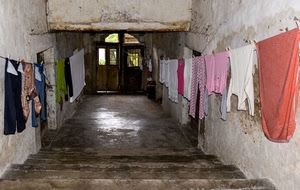 panni, portone, porte, bucato, scala, porta, gradini, scale, scalini, arco, stesi, bianco, colori, discesa, mollette, pantaloni, blu, scalinata, rosa