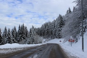 strada, alberi, neve, inverno, nuvole, cielo, bianco, abeti, segnali, pini, pali, asfalto, acqua, segnale, bosco, montagna, triangolo