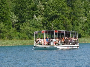 alberi, verde, acqua, fiume, turisti, bianco, battello, navigare, azzurro, lago, navigazione, erba, passeggeri, parapetto, traghetto, barca, bosco, barcone, imbarcazione, chiatta, tettoia, persone