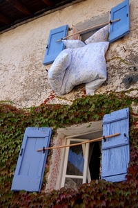 finestre, edera, due, cuscini, azzurro, blu, persiane, ante