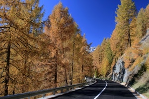 strada, alberi, cielo, azzurro, autunno, montagna, linea, larici, guardrail, asfalto, pini, verde, tronchi, bianca, giallo, bosco, rami, striscia
