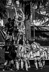 numeri, palla, giocatori, bianconero, albero, divise, sport, rugby, uno, gioco, rete, partita, ovale, uomini, cinque, otto, ragazzi, squadra, tronco, calzettoni, pallone