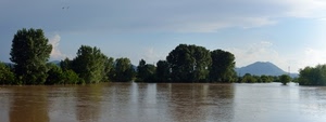 alberi, fiume, acqua, cielo, verde, montagna, nuvole, uccelli, piena, lago, riflessi